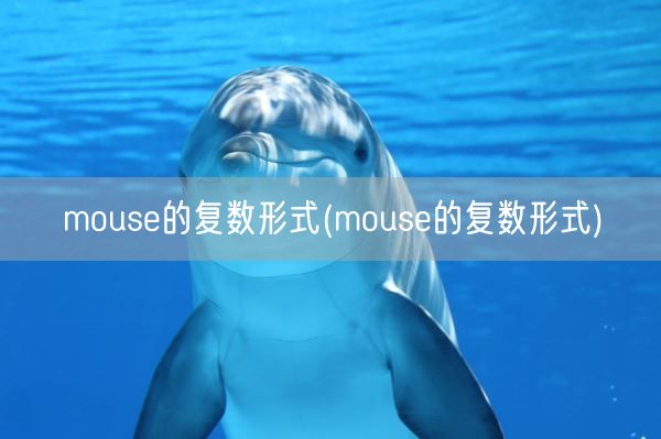 mouse的复数形式(mouse的复数形式)(图1) mouse的复数形式(mouse的复数形式)(图1)