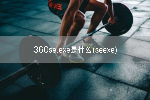 360se.exe是什么(seexe)(图1) 360se.exe是什么(seexe)(图1)