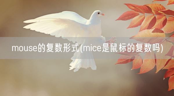 mouse的复数形式(mice是鼠标的复数吗)(图1)