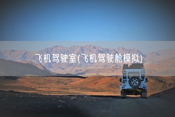 飞机驾驶室(飞机驾驶舱模拟)(图1)