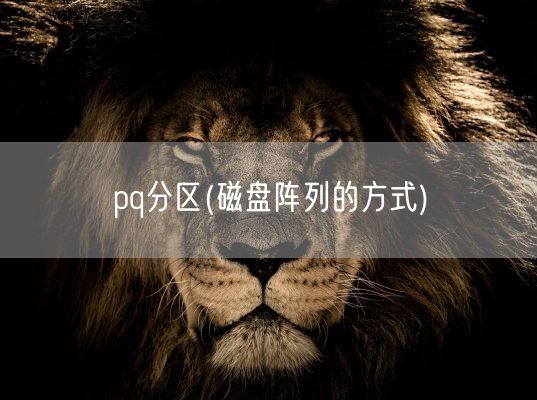 pq分区(磁盘阵列的方式)(图1) pq分区(磁盘阵列的方式)(图1)