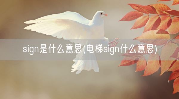 sign是什么意思(电梯sign什么意思)(图1)