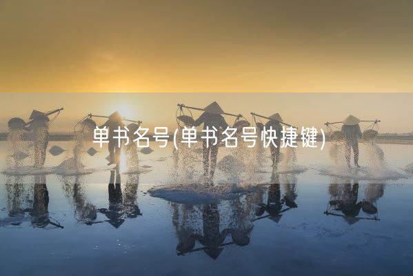 单书名号(单书名号快捷键)(图1)