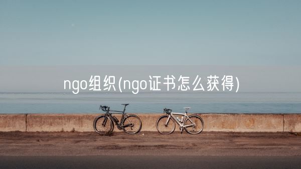 ngo组织(ngo证书怎么获得)(图1)