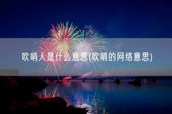 吹哨人是什么意思(吹哨的网络意思)(图1)
