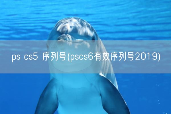 ps cs5 序列号(pscs6有效序列号2019)(图1) ps cs5 序列号(pscs6有效序列号2019)(图1)