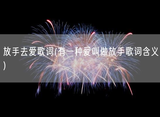 放手去爱歌词(有一种爱叫做放手歌词含义)(图1)