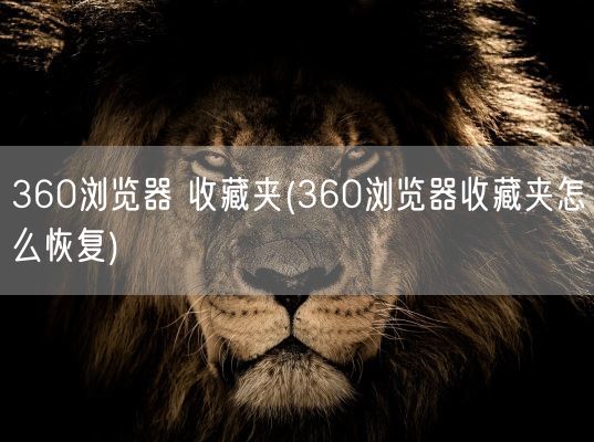 360浏览器 收藏夹(360浏览器收藏夹怎么恢复)(图1)