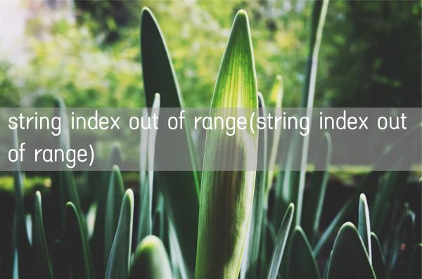 string index out of range(string index out of range)(图1)