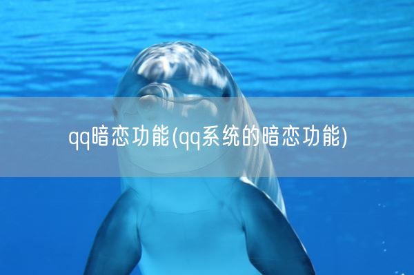 qq暗恋功能(qq系统的暗恋功能)(图1) qq暗恋功能(qq系统的暗恋功能)(图1)
