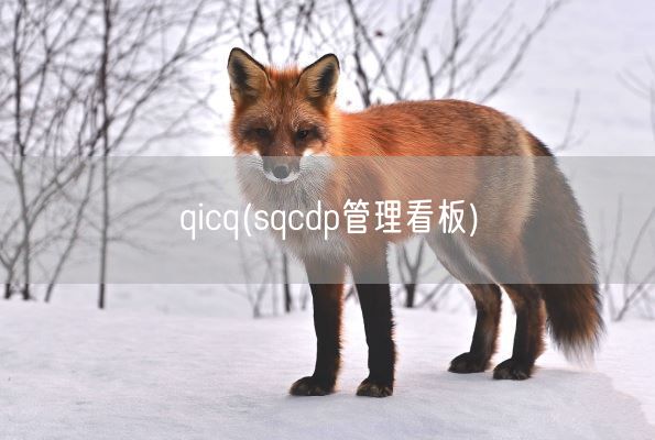 qicq(sqcdp管理看板)(图1) qicq(sqcdp管理看板)(图1)