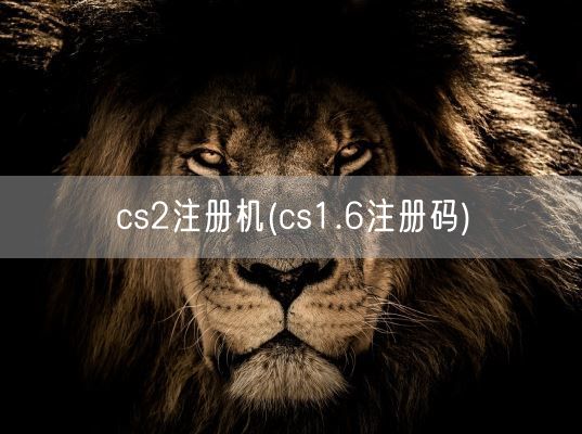 cs2注册机(cs1.6注册码)(图1)
