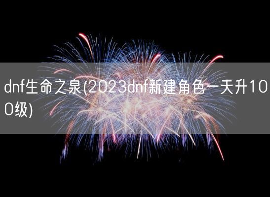 dnf生命之泉(2023dnf新建角色一天升100级)(图1)