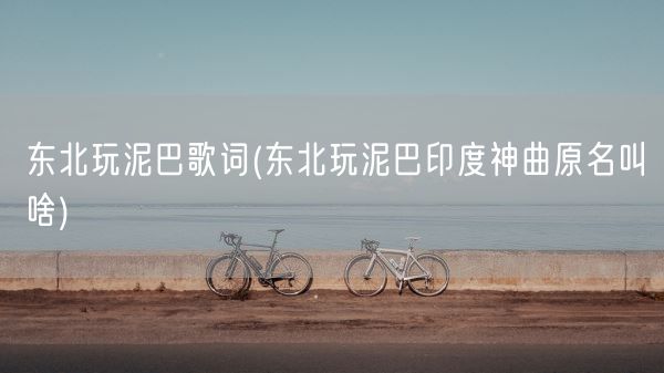 东北玩泥巴歌词(东北玩泥巴印度神曲原名叫啥)(图1)