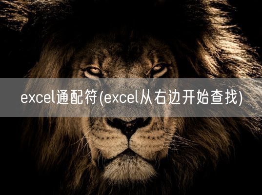 excel通配符(excel从右边开始查找)(图1) excel通配符(excel从右边开始查找)(图1)