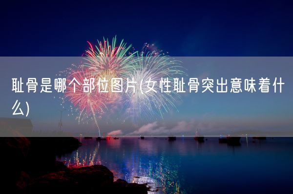 耻骨是哪个部位图片(女性耻骨突出意味着什么)(图1) 耻骨是哪个部位图片(女性耻骨突出意味着什么)(图1)