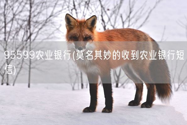 95599农业银行(莫名其妙的收到农业银行短信)(图1) 95599农业银行(莫名其妙的收到农业银行短信)(图1)