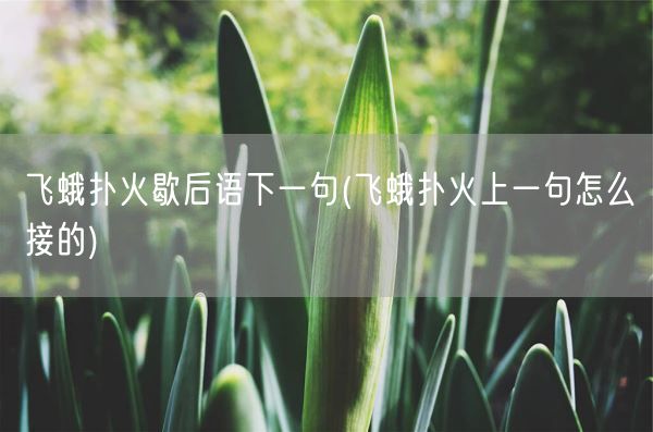 飞蛾扑火歇后语下一句(飞蛾扑火上一句怎么接的)(图1) 飞蛾扑火歇后语下一句(飞蛾扑火上一句怎么接的)(图1)