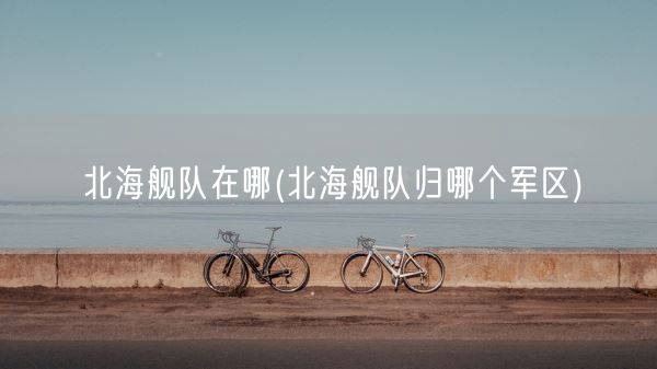 北海舰队在哪(北海舰队归哪个军区)(图1) 北海舰队在哪(北海舰队归哪个军区)(图1)