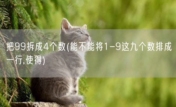 把99拆成4个数(能不能将1-9这九个数排成一行,使得)(图1)