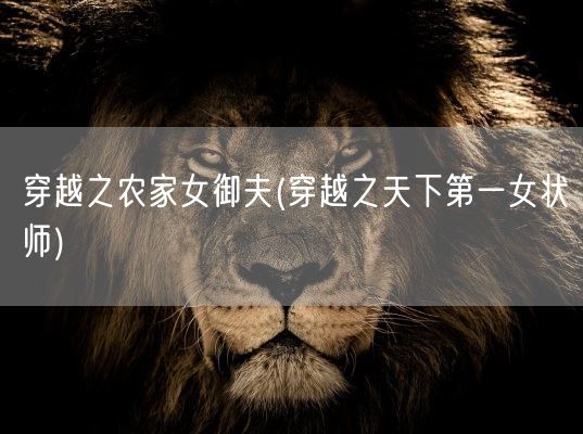 穿越之农家女御夫(穿越之天下第一女状师)(图1)