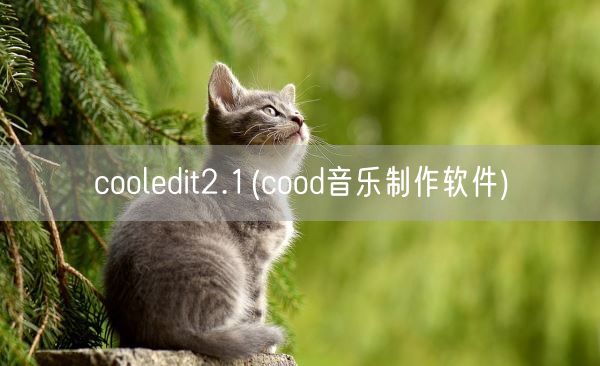 cooledit2.1(cood音乐制作软件)(图1)