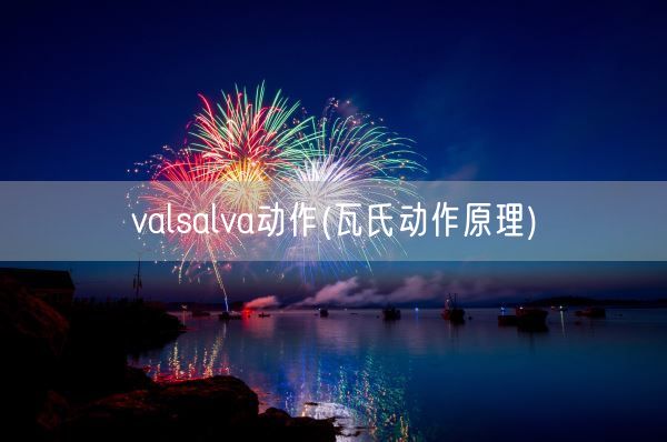 valsalva动作(瓦氏动作原理)(图1)