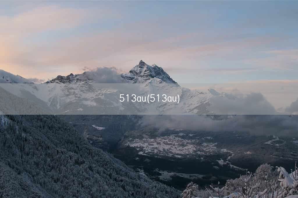 513au(513au)(图1) 513au(513au)(图1)