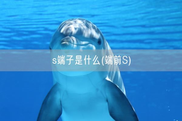 s端子是什么(端前S)(图1) s端子是什么(端前S)(图1)