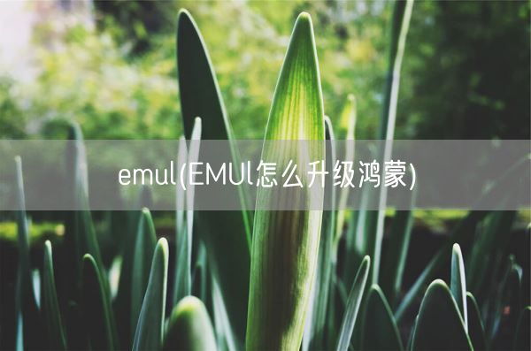 emul(EMUl怎么升级鸿蒙)(图1)