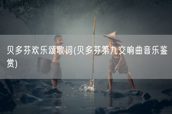 贝多芬欢乐颂歌词(贝多芬第九交响曲音乐鉴赏)(图1)