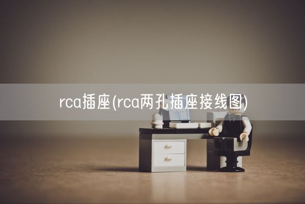rca插座(rca两孔插座接线图)(图1)