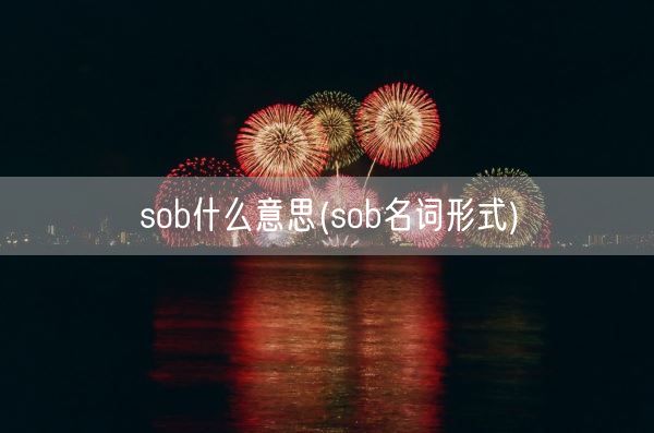 sob什么意思(sob名词形式)(图1)