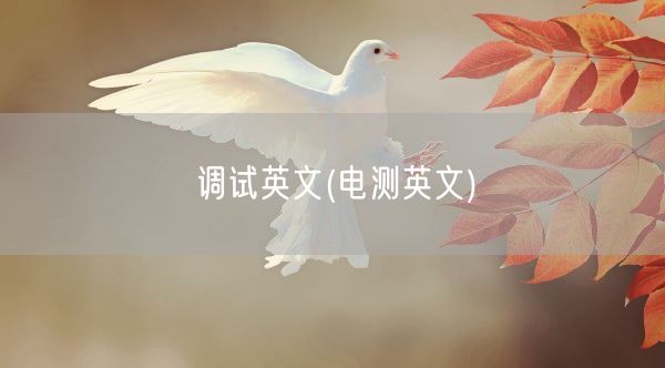 调试英文(电测英文)(图1) 调试英文(电测英文)(图1)