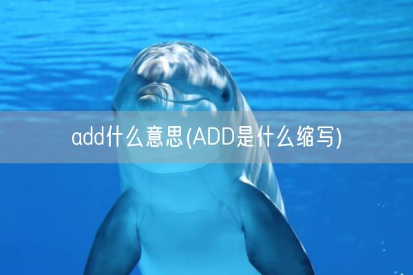 add什么意思(ADD是什么缩写)(图1)