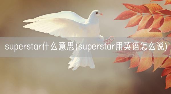 superstar什么意思(superstar用英语怎么说)(图1) superstar什么意思(superstar用英语怎么说)(图1)