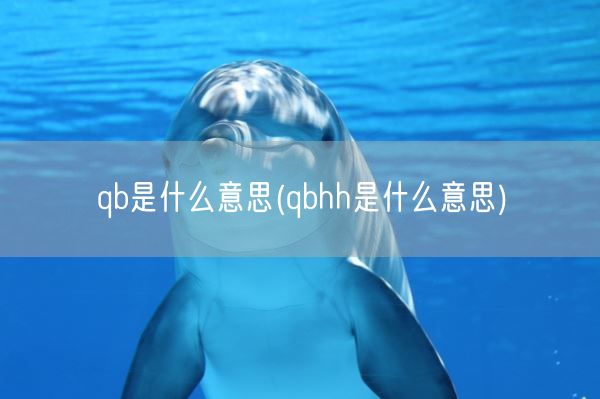 qb是什么意思(qbhh是什么意思)(图1) qb是什么意思(qbhh是什么意思)(图1)