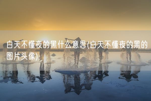 白天不懂夜的黑什么意思(白天不懂夜的黑的图片头像)(图1)