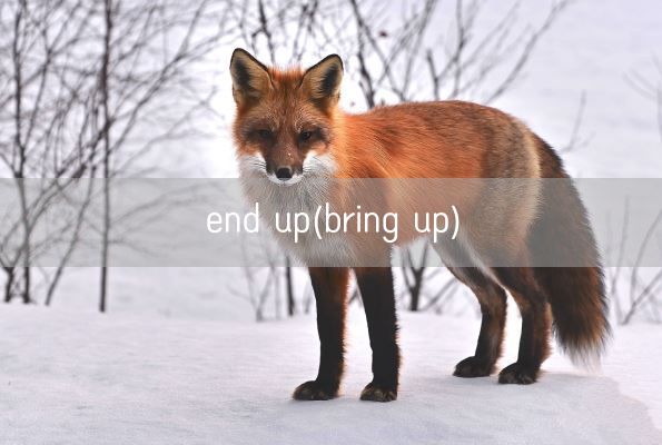 end up(bring up)(图1) end up(bring up)(图1)