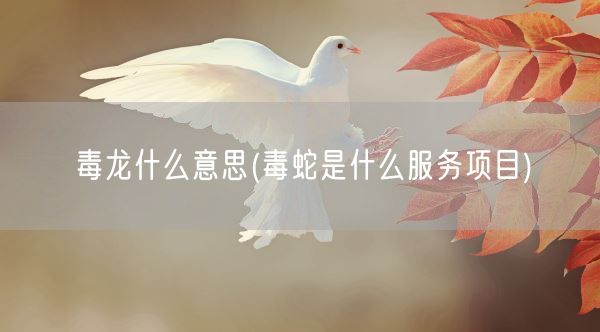 毒龙什么意思(毒蛇是什么服务项目)(图1) 毒龙什么意思(毒蛇是什么服务项目)(图1)