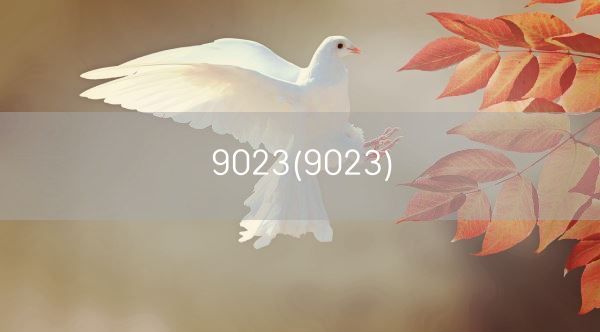 9023(9023)(图1) 9023(9023)(图1)