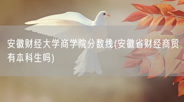 安徽财经大学商学院分数线(安徽省财经商贸有本科生吗)(图1)