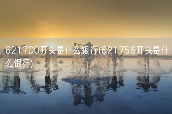 621700开头是什么银行(621756开头是什么银行)(图1)