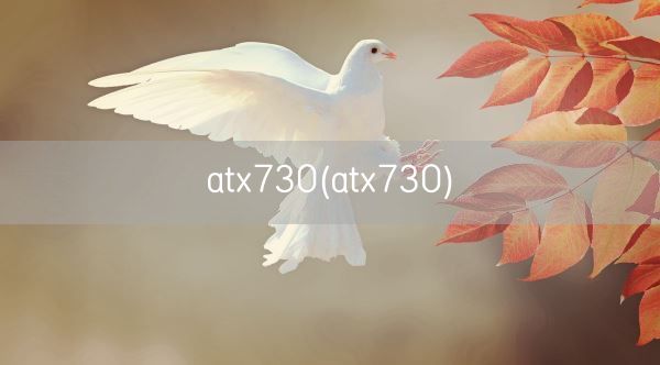 atx730(atx730)(图1) atx730(atx730)(图1)
