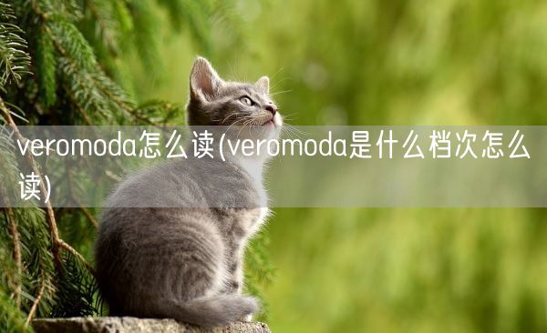 veromoda怎么读(veromoda是什么档次怎么读)(图1)