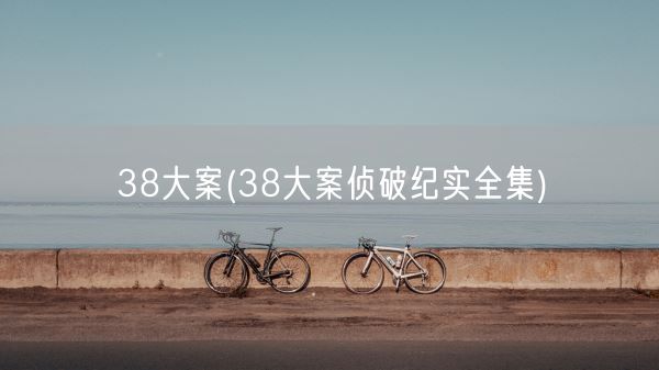 38大案(38大案侦破纪实全集)(图1)