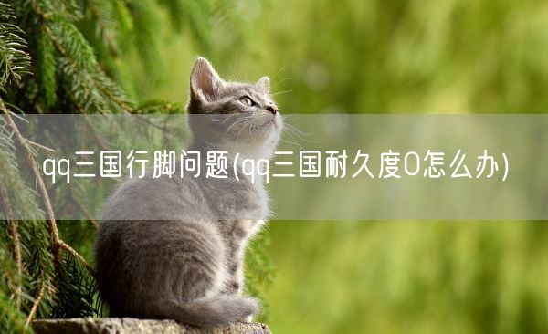 qq三国行脚问题(qq三国耐久度0怎么办)(图1)