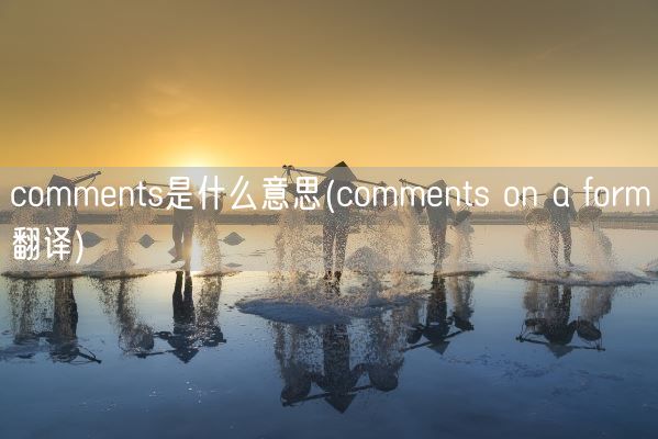 comments是什么意思(comments on a form翻译)(图1)