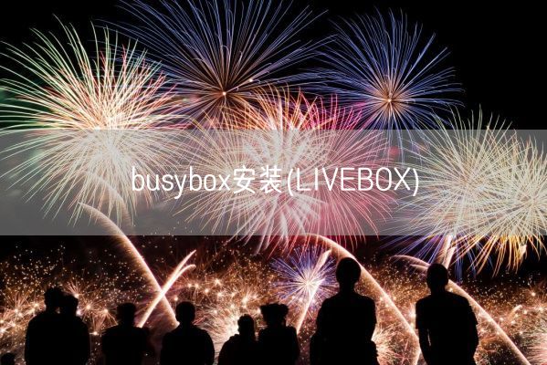 busybox安装(LIVEBOX)(图1) busybox安装(LIVEBOX)(图1)