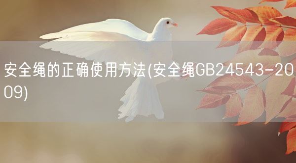 安全绳的正确使用方法(安全绳GB24543-2009)(图1)